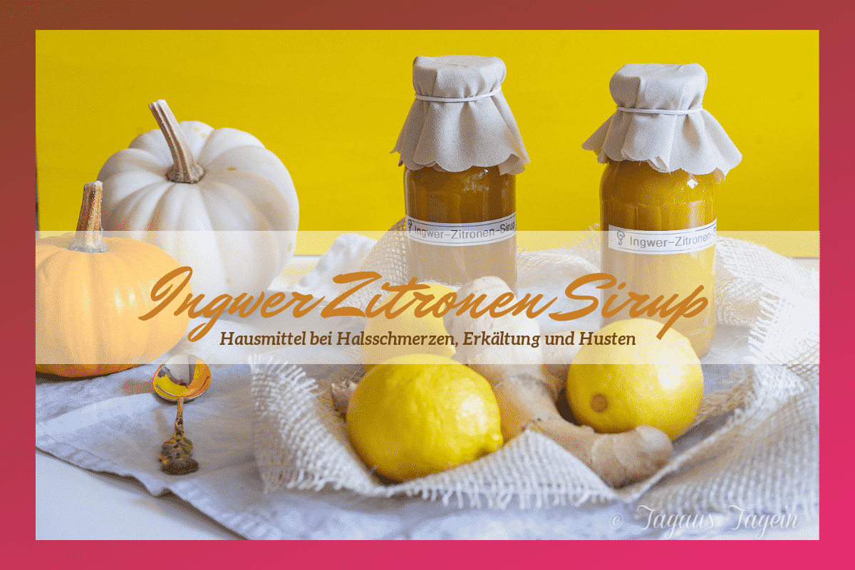 Ingwer Zitronen Sirup - Thermomix® Rezept