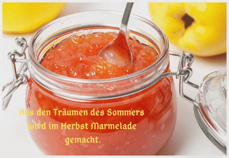 Quittengelee Rezept Thermomix® || Quittengelee selber machen