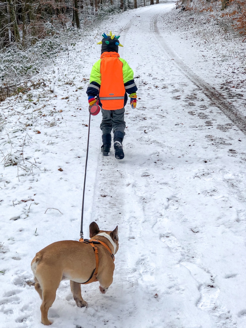 Winterspaziergang mit Hund