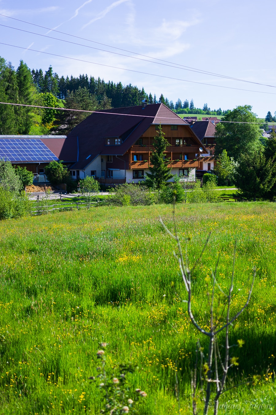 Schweizermichelhof St. Georgen